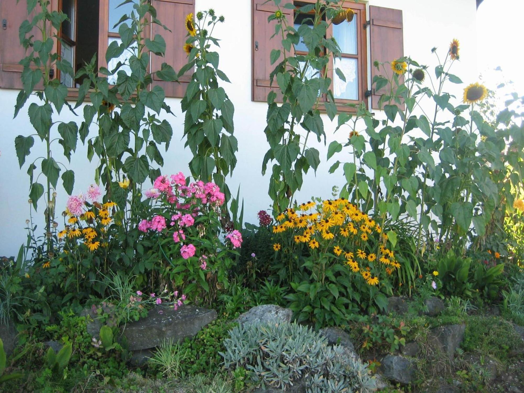 Apartment In The Allg U With View Of The Bavarian Alps Bernbeuren Exterior foto